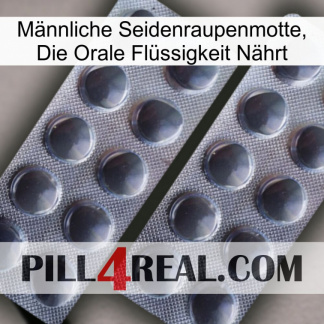 Männliche Seidenraupenmotte, Die Orale Flüssigkeit Nährt 31